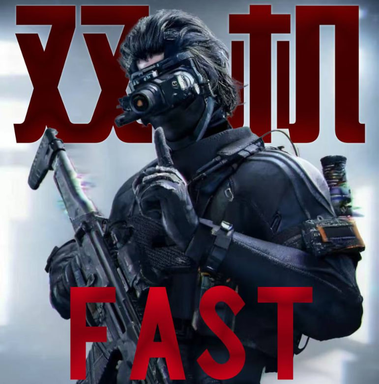 双机内存FAST